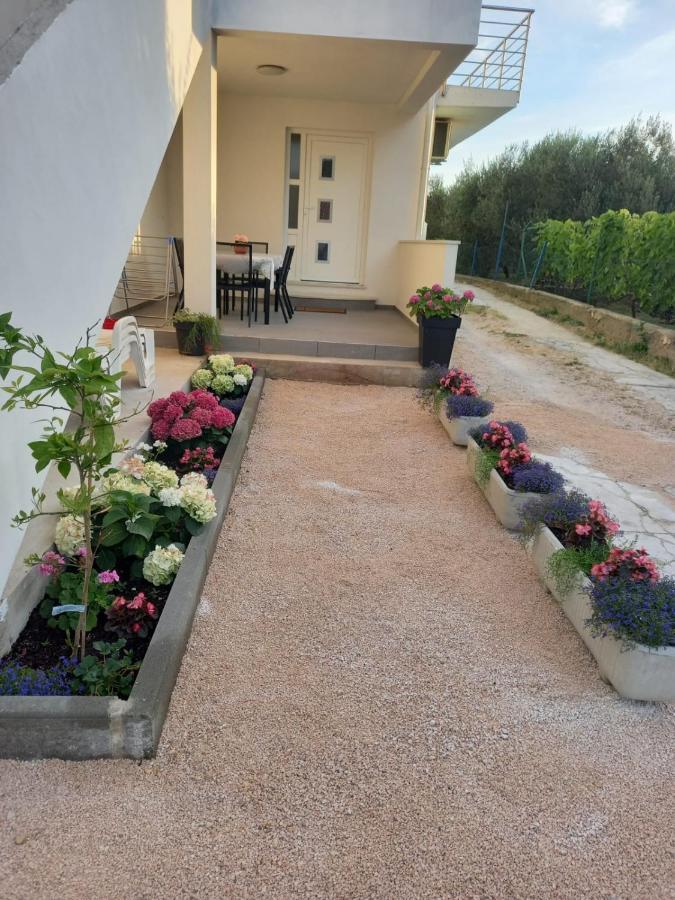 Apartmani Sara Bibinje Eksteriør bilde
